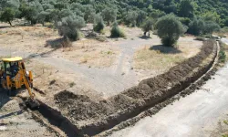 İzmir Güzelbahçe'de can dostlar için yeni yaşam merkezi hazırlığı