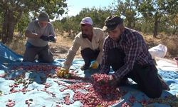 Elazığ’dan Gaziantep’e ’fıstıklı’ gözdağı