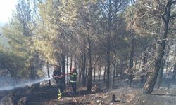 Antakya’da orman yangını