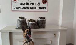 Bingöl’de 4,5 kilo esrar ele geçirildi