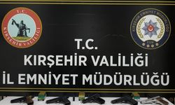 Kırşehir’de ruhsatsız silah operasyonu