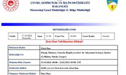 Meteorolojiden ‘zirai don’ uyarısı