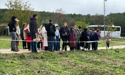 Mor yapraklı, kırmızı lifli safranı görmek için tarlalara akın ediyorlar