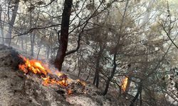 Muğla Gökova Körfezi’nde orman yangını