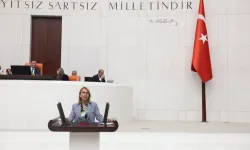 CHP'li vekilden bütçe eleştirisi