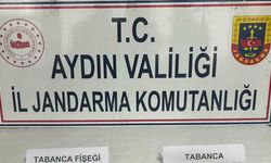 Aydın’da 12 adet ruhsatsız tabanca geçirildi