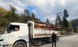 Bolu’da kaçak odun dolu kamyonlar yakalandı