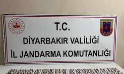 Diyarbakır’da 584 adet uyuşturucu hapla yakalanan zanlı tutuklandı