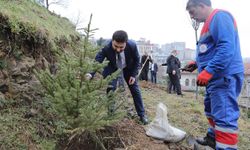 Kağıthane’de yeşil gelecek: Her bebek bir ağaçla büyüyor