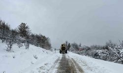 Kar sonrası kapanan tüm köy yolları ulaşıma açıldı