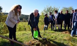 Kastamonu Üniversitesi’nde 100 fidan dikildi