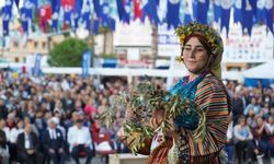 Milas’ta zeytin hasat şenliği için geri sayım başladı