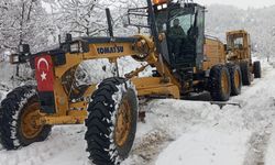 Sinop’ta 81 köy yolu kar yağışı nedeniyle ulaşıma kapandı