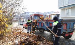 Turhal Belediyesi’nden çevre dostu torf üretimi