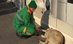 Belediye çalışanının köpekle keyifli vakit geçirmesi içleri ısıttı