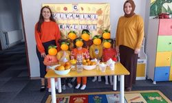 Diyadin’de  C Vitamini Şenliği