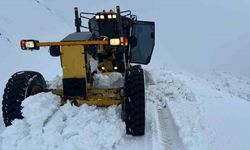 Elazığ’da 31 köy yolunu açma çalışması sürüyor