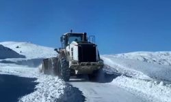 Muş’ta kar ve tipi nedeniyle kapanan köy yolları ulaşıma açıldı