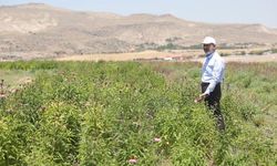 Başkan Çolakbayrakdar, “Türkiye’nin dünya sıralamasındaki tarımsal hasılasına büyük katkı sağlıyoruz”