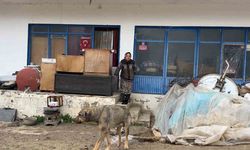 Çaresiz kadın: "Belediyeye, kaymakama ve muhtarlığa gittim, huzurevine gitmemi teklif ettiler"