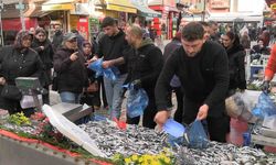 Edirne’de hamsi bolluğu: Kilosu 100 liraya düştü