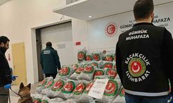 Edirne’de tırda 870 kilo skunk ele geçirildi