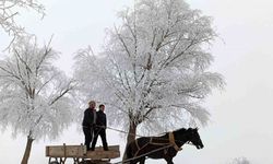 Erzincan’ın Otlukbeli ilçesi buz tuttu!