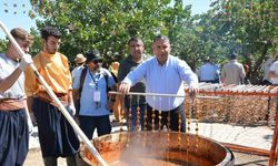 Gaziantep’te üzüm üretiminde 5’inci sırada