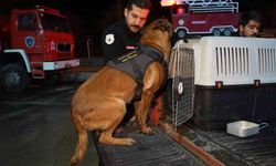 Hassas burunlu köpekler arama-kurtarma çalışmaları için Konya’ya hareket etti