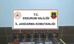 Jandarma kaçakçılara göz açtırmıyor