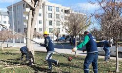 Park ve sokaklarda peyzaj çalışmaları devam ediyor