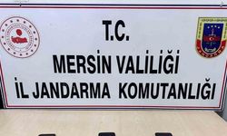 Sahte ilan vererek vatandaşları dolandıran 1 şüpheli tutuklandı