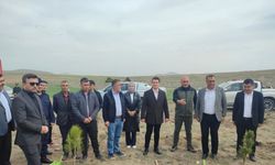 Altıntaş’ta "Okul Hatıra Ormanı" etkinliği
