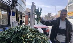 Doğal antibiyotik ’çiriş otu’ tezgahlarda yerini aldı