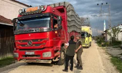 Bilecik Pazaryeri'nde orman emvali denetimi
