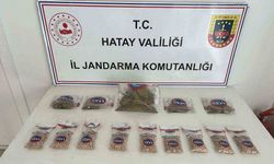 Ağaçın altından uyuşturucu hap ve esrar çıktı