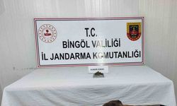 Bingöl’de uyuşturucu madde ve tüfek ele geçirildi