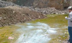 Hakkari’de yaz öncesi larva seferberliği