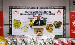 Havza’da 350 çiftçiye yüzde 70 hibeli ayçiçeği tohumu desteği