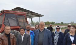 Konya’da kenevir ekimi başladı