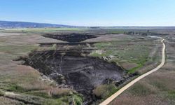 Kuş cenneti Göksu Deltası, yangın sonrası dronla görüntülendi