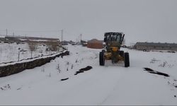 Meteoroloji’nden Kars’a kuvvetli kar yağışı uyarsı