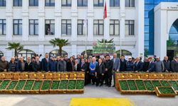 Yalova’da çiftçilere 375 bin adet sebze fidesi dağıtıldı