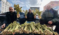 Yayla muzunun destesi 100 TL’den satışa çıkarıldı