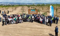 Kocaeli’nde binlerce fidan toprakla buluştu