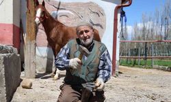 77 yaşındaki son nalbant ustası, 63 yıldır mesleğini sürdürüyor