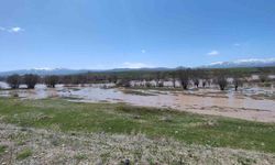 Ağrı’da Murat Nehri taştı araziler sular altında kaldı