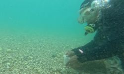 Antalya’da deniz dibindeki Hıdırellez dilekleri şaşırttı