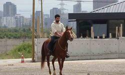 Atla markete giderken ’alkollü araç kullanmak’tan ceza yedi
