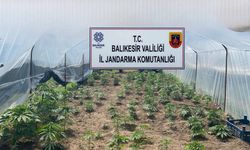 Balıkesir’de jandarmadan organize suçlara karşı geniş çaplı operasyon